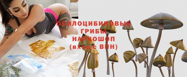 стафф Майский