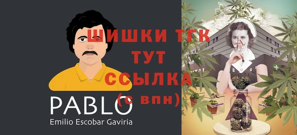тгк Алексин