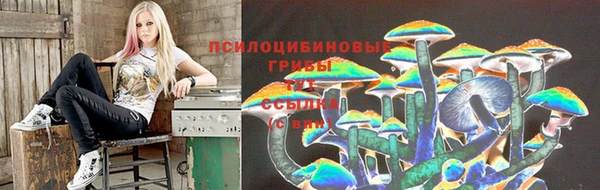 соль ск Алексеевка