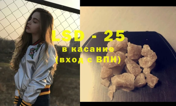 крисы Алзамай