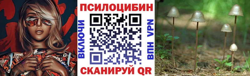продажа наркотиков  Чаплыгин  ОМГ ОМГ ССЫЛКА  Псилоцибиновые грибы прущие грибы 